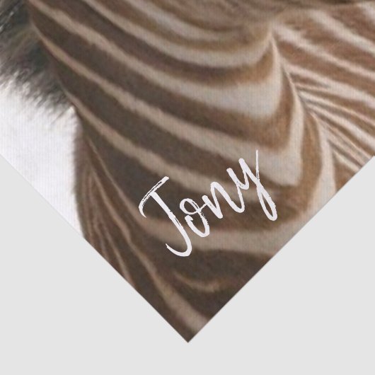 Tissue Zebra Seidenpapier (Ausschnitt)