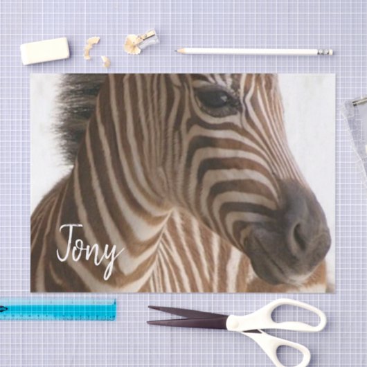 Tissue Zebra Seidenpapier (Handwerk)