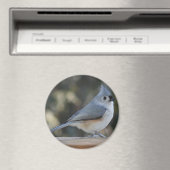 Titan-Foto-Magnet Magnet (In Situ (Geschirrspüler))