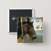 Titan-Knopf Button (Vorne & Hinten)