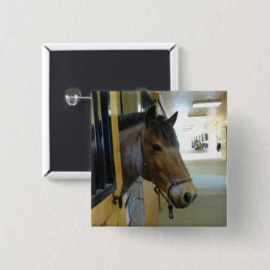 Titan-Knopf Button (Vorne & Hinten)