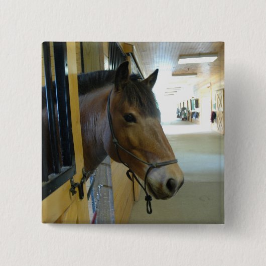 Titan-Knopf Button (Vorderseite)