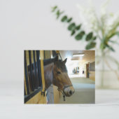 Titan Postcard Postkarte (Stehend Vorderseite)