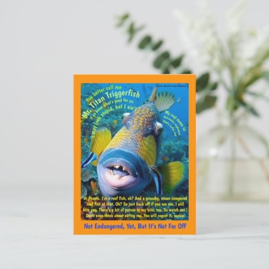 Titan Triggerfish, für das Kind, ein humorvoller - Postkarte (Stehend Vorderseite)