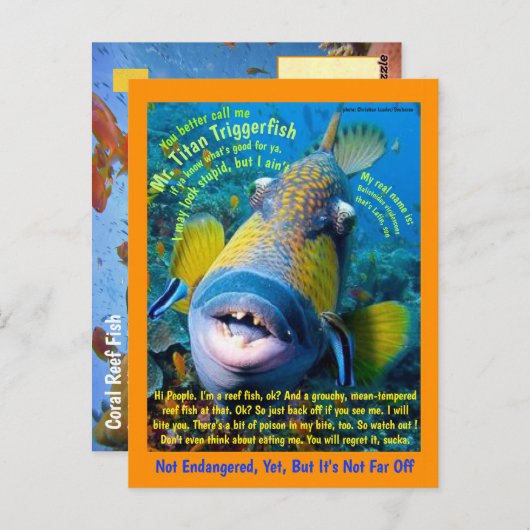Titan Triggerfish, für das Kind, ein humorvoller - Postkarte (Vorne/Hinten)