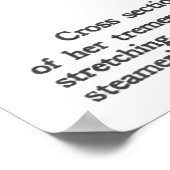 TITANISCHE ILLUSTRATION IN CHICAGO TABLOID POSTER (Ecke)