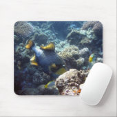 TitanTriggerfish auf dem Great Barrier Reef Mousepad (Mit Mouse)