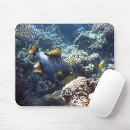 TitanTriggerfish auf dem Great Barrier Reef Mousepad (Mit Mouse)