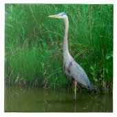 TITEL "BLAUE HERON STEHEND IN POND" (FOTOG) FLIESE (Vorderseite)