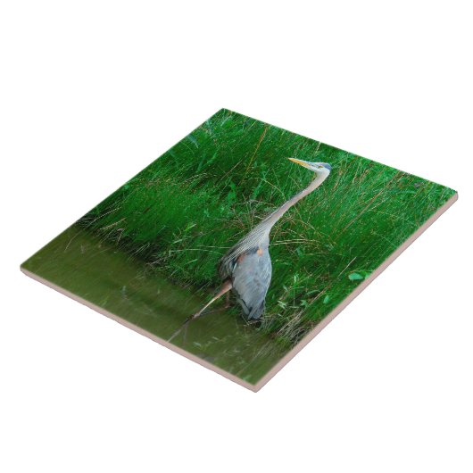 TITEL "BLAUE HERON STEHEND IN POND" (FOTOG) FLIESE (Seite)