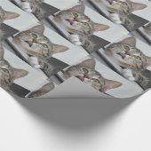 Titel des Katzen-Umschlagpapiers Geschenkpapier (Ecke)