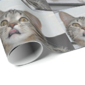Titel des Katzen-Umschlagpapiers Geschenkpapier (Rolleneckpunkt)