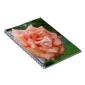 Titel Peach Rose Blume Nature Notebook Notizblock (Rechte Seite)