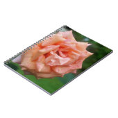 Titel Peach Rose Blume Nature Notebook Notizblock (Linke Seite)
