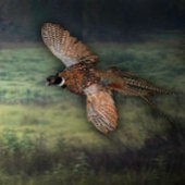 TITEL: " PHESANT SUCHT NACH PREY : POSTER