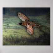 TITEL: " PHESANT SUCHT NACH PREY : POSTER (Vorne)