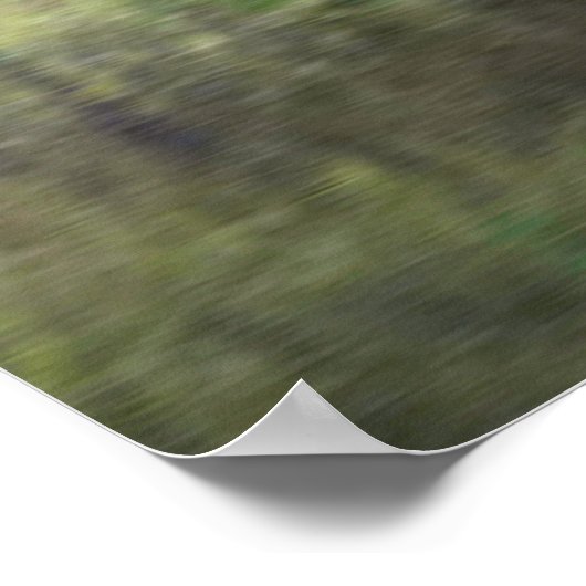 TITEL: " PHESANT SUCHT NACH PREY : POSTER (Ecke)