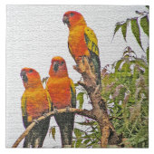 TITEL/TRIVET, DREI ORANGE PARROTS (DIGITALES MANIP FLIESE (Vorderseite)