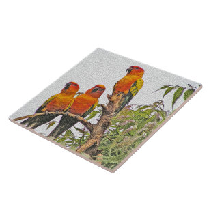 TITEL/TRIVET, DREI ORANGE PARROTS (DIGITALES MANIP FLIESE
