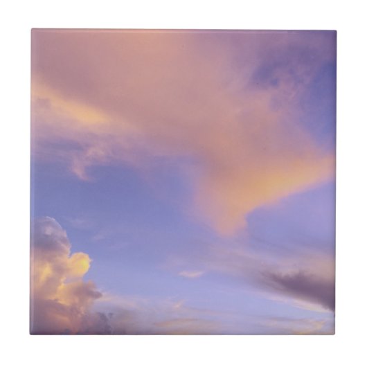 TITEL/TRIVET "GESPALTETER HIMMEL" FLIESE (Vorderseite)