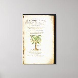 Titelblatt von 'De Historia Stirpium Commentarii Leinwanddruck
