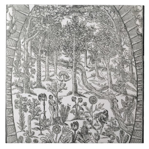 Titelblatt 'von der Paradisi Sohle; Paradisus Fliese