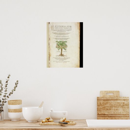 Titelseite von "De Historia Stirpium Commentarii Poster (Küche)