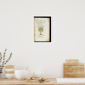 Titelseite von "De Historia Stirpium Commentarii Poster (Küche)