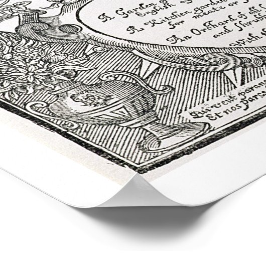 Titelseite von "Paradisi Sole; Paradisus Terrestre Poster (Ecke)