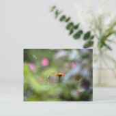 Tithonia im Garten Postkarte (Stehend Vorderseite)