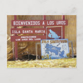 Titicaca los uros postkarte (Vorderseite)