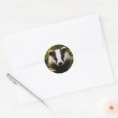 Title Majestic badger portrait multi sticker colle (Umschlag)