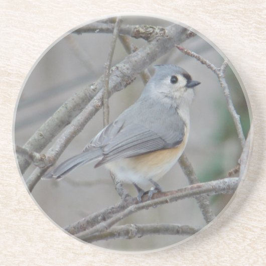 Titmaus (Baeolophus bicolor)-Elemente Getränkeuntersetzer (Vorne)