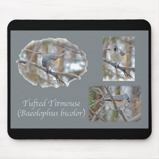 Titmaus (Baeolophus bicolor)-Elemente Mousepad (Vorne)
