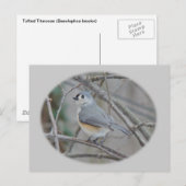 Titmaus (Baeolophus bicolor)-Elemente Postkarte (Vorne/Hinten)