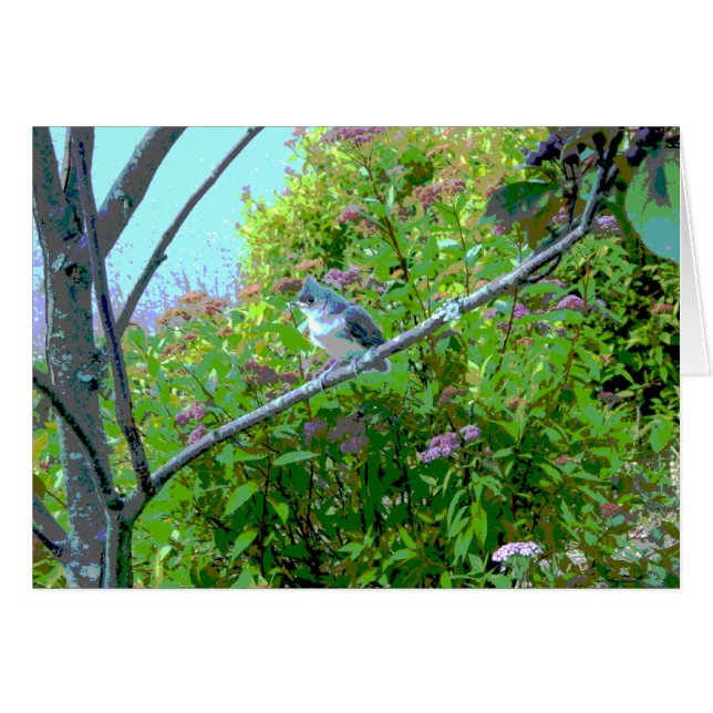 Titmaus Fledgling Baby Bird (Vorderseite (Horizontal))