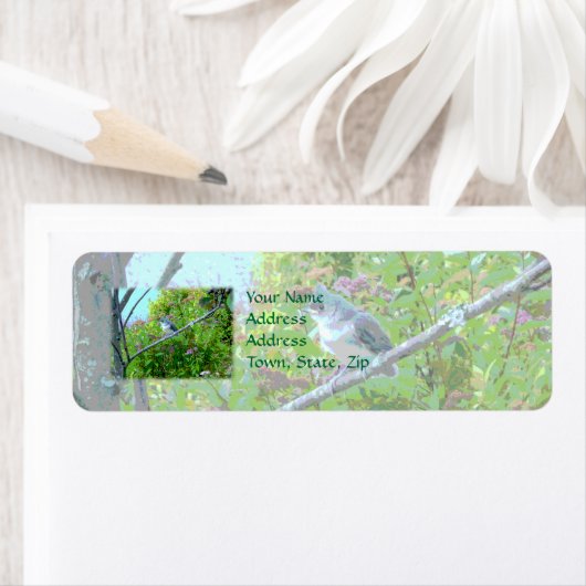 Titmaus Fledgling Baby Bird (Insitu)