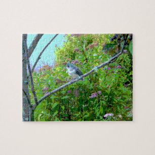 Titmaus Fledgling Baby Bird Puzzle