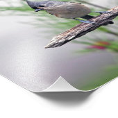 Titmaus Fotodruck (Ecke)