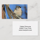 Titmaus, gespannt auf einem Shagbarkbaum Visitenkarte (Vorne/Hinten)