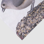 Titmaus, gespritzt, auf Vogelleder-Gewebe Seidenpapier (Ausschnitt)