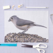 Titmaus, gespritzt, auf Vogelleder-Gewebe Seidenpapier (Handwerk)