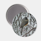 Titmaus Magnet (Vorderseite/Rückseite)