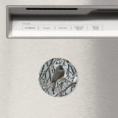Titmaus Magnet (In Situ (Geschirrspüler))