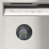 Titmaus Magnet (In Situ (Geschirrspüler))