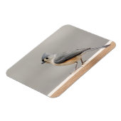 Titmaus Magnet (Linke Seite)