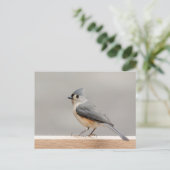 Titmaus Postkarte (Stehend Vorderseite)