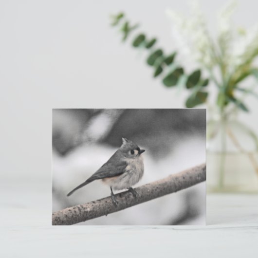Titmaus Postkarte (Stehend Vorderseite)