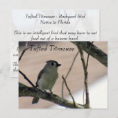 Titmaus - Postkarte lernen - Florida (Vorne/Hinten)