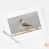 Titmaus Rechteckiger Aufkleber (Umschlag)